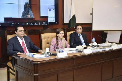 12-Pre-Budget-Seminar-2025