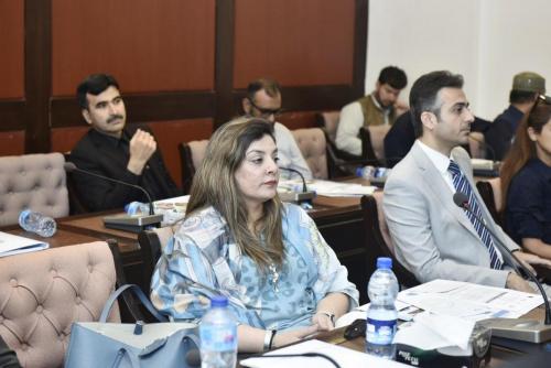 15-Pre-Budget-Seminar-2025