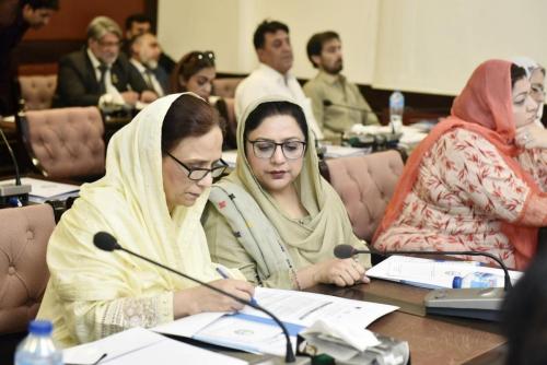18-Pre-Budget-Seminar-2025