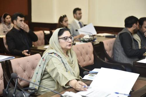 19-Pre-Budget-Seminar-2025