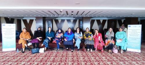 Workplan Development Workshop for the Honourable Members of the Women’s Parliamentary Caucus Provincial Assembly of the Punjab, 28th to 30th April 2025