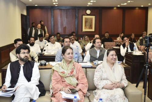 3-Pre-Budget-Seminar-2025