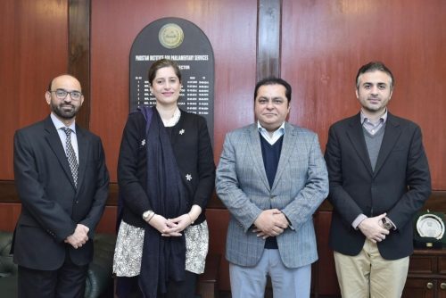 PIPS AND UNDP AGREE UPON MUTUAL COLLABORATION AND PARTNERSHIP IN THE NEAR FUTURE