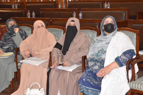Post budget Seminar in KP 08