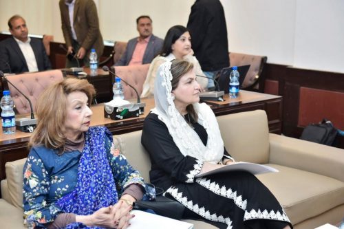 ProWomen Laws n Legislative Scrutiny 4 Federal Women Parliamentary Caucus 06