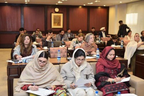 ProWomen Laws n Legislative Scrutiny 4 Federal Women Parliamentary Caucus 10