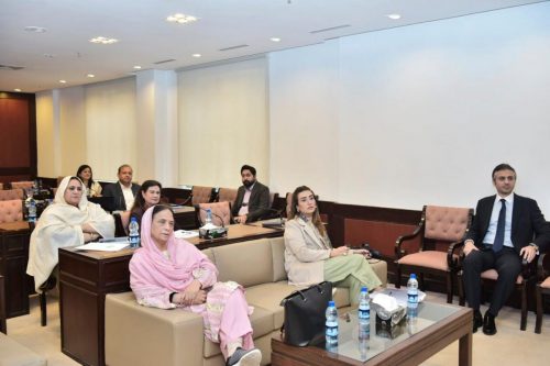 ProWomen Laws n Legislative Scrutiny 4 Federal Women Parliamentary Caucus 11