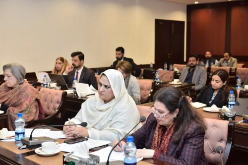 ProWomen Laws n Legislative Scrutiny 4 Federal Women Parliamentary Caucus 13